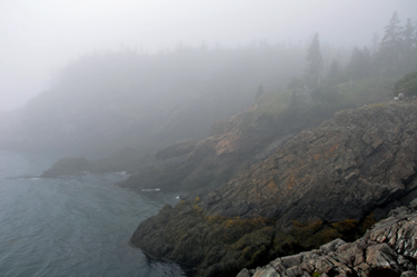 Seal haul-out ledges at Liberty Point