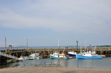 Low Tide on Campobello Island