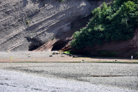 caves in the sandstone cliff