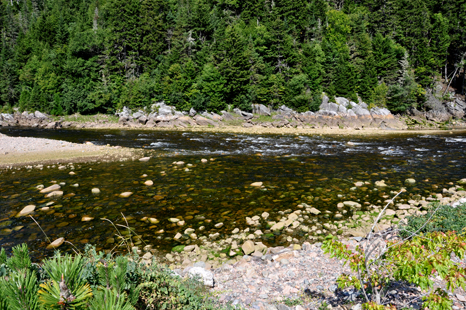 Clear water trickles over multicolored rocks at Salmon River