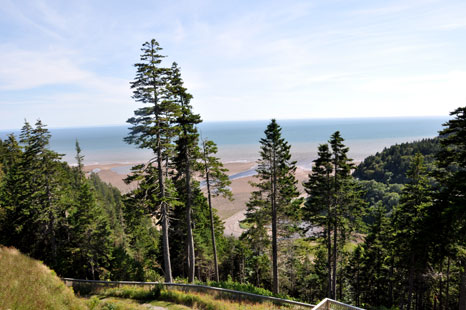 Interpretive Centre Lookout