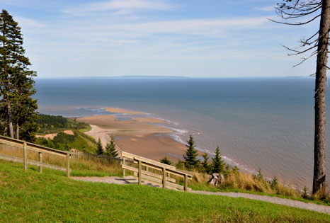 Long Beach Lookout