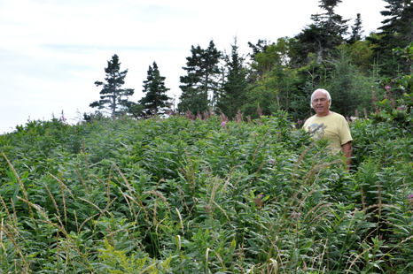 Lee Duquette on the path to the West Quaco Lighthouse in St. Martins