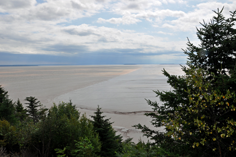 Daniels Flats at Hopewell Rocks