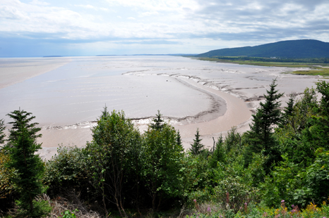 Daniels Flats at Hopewell Rocks