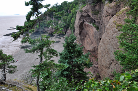 Big Cove as seen from the lookout