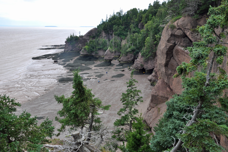 Big Cove as seen from the lookout