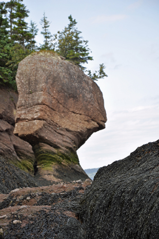 Flower Pot rock