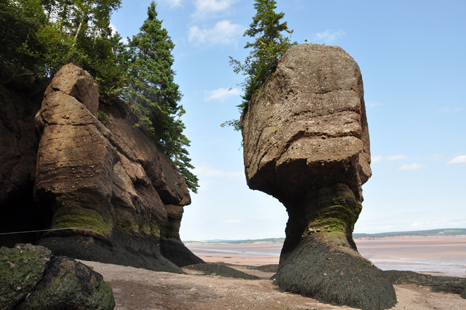 Flower Pot rock