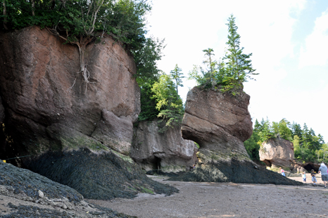 Flower Pot rock