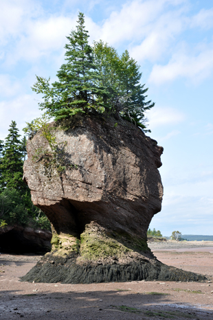 Flower Pot rock