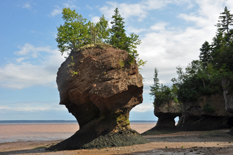 Flower Pot rock