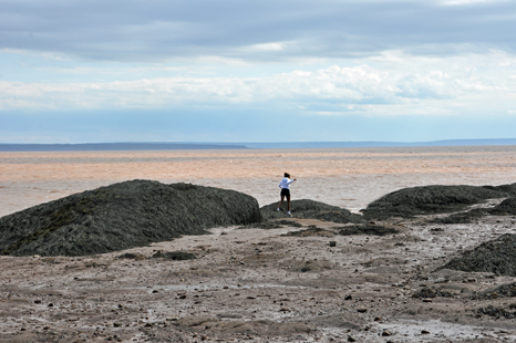 browan water and mud