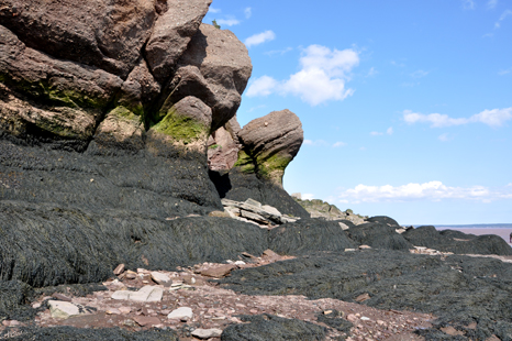 Hopewell Rocks