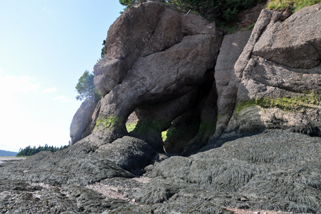 Hopewell Rocks