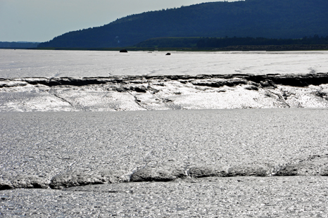 mud flats