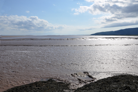 mud flats