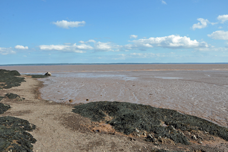 Demoiselles Beach and the Mud Flats