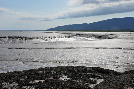 mud flats