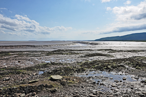 mud flats