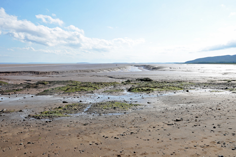 mud flats