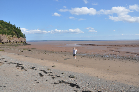 Demoiselles Beach and the Mud Flats