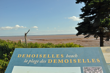 sign - Demoiselles beach