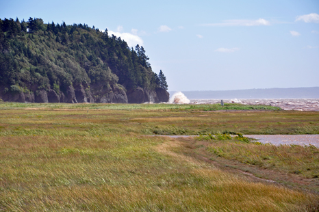 waves start covering the marsh