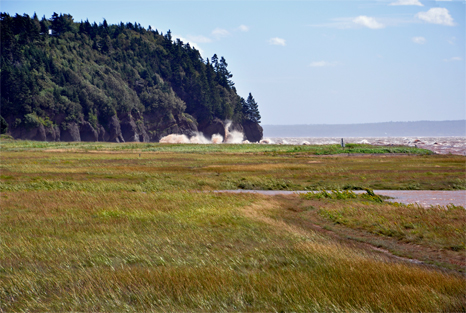 waves start covering the marsh