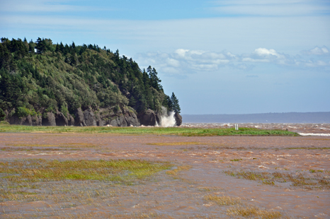 water covers the marsh