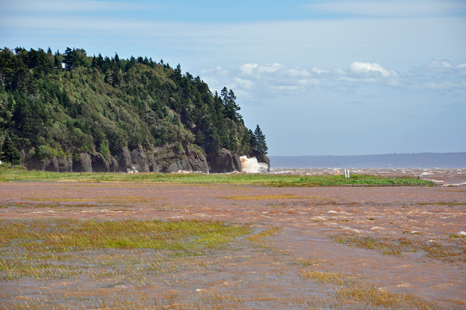 water covers the marsh