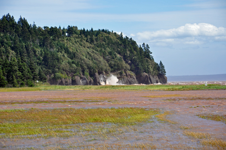 water covers the marsh