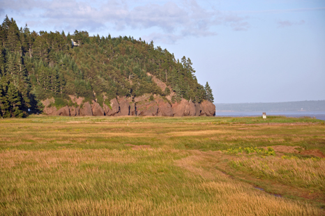 the marsh starts to dry out