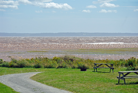 water covers the marsh