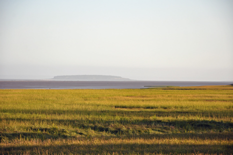 the marsh starts to dry out