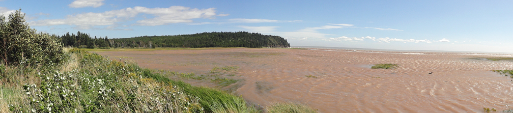 the Bay of Fundy has totally covered the marsh