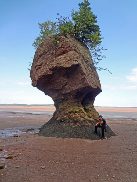 Flower Pot rock