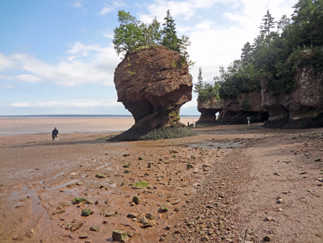 Flower Pot rock