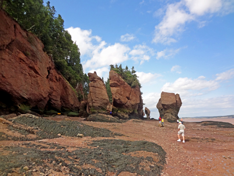 Lee Duquette at Hopewell Rocks