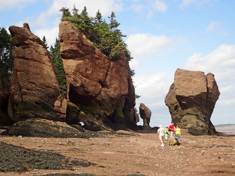 Hopewell Rocks