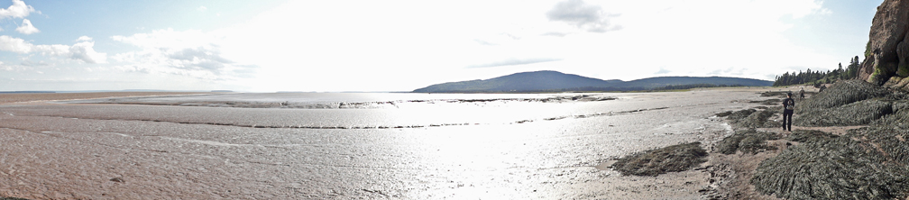 Demoiselles Beach and the Mud Flats