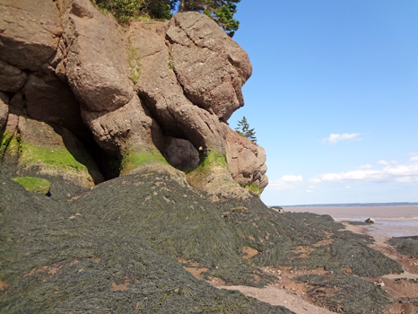 Hopewell Rocks