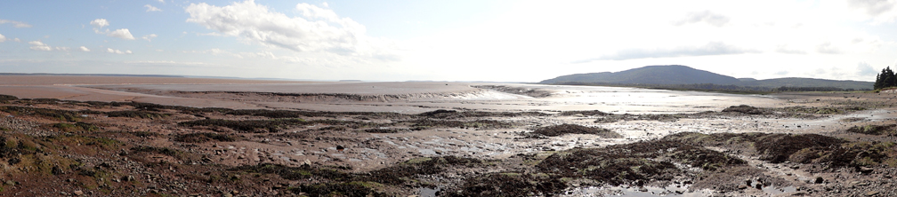 Demoiselles Beach and the Mud Flats