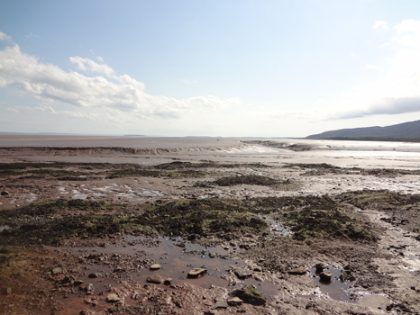 mud flats