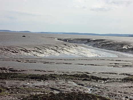 mud flats