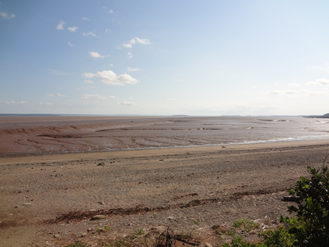 Demoiselles Beach and the Mud Flats