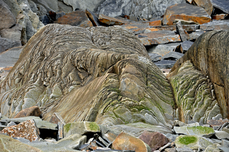 Some of the rocks have amazing shapes, colors and lines.