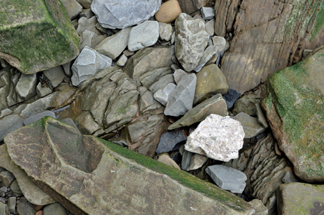 The white rock really stands out among the other rocks