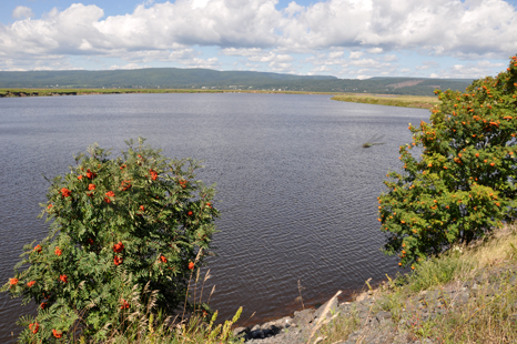 beautiful scenery beside Anderson Hollow Lighthouse