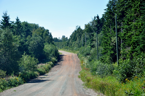 dirt roads and gravel